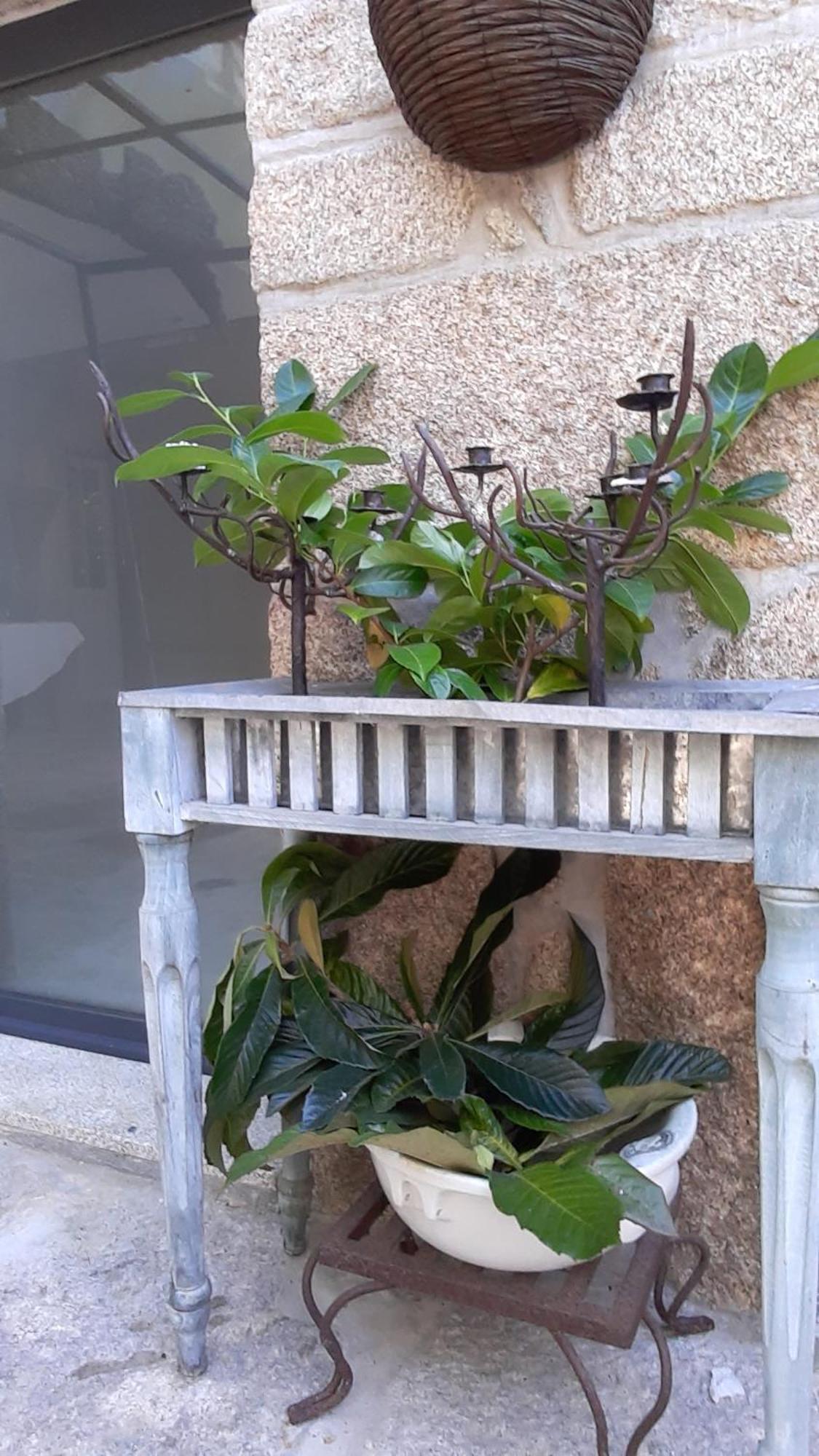 Penzion Casa D'Aldeia De Souto De Lafoes Oliveira de Frades Exteriér fotografie